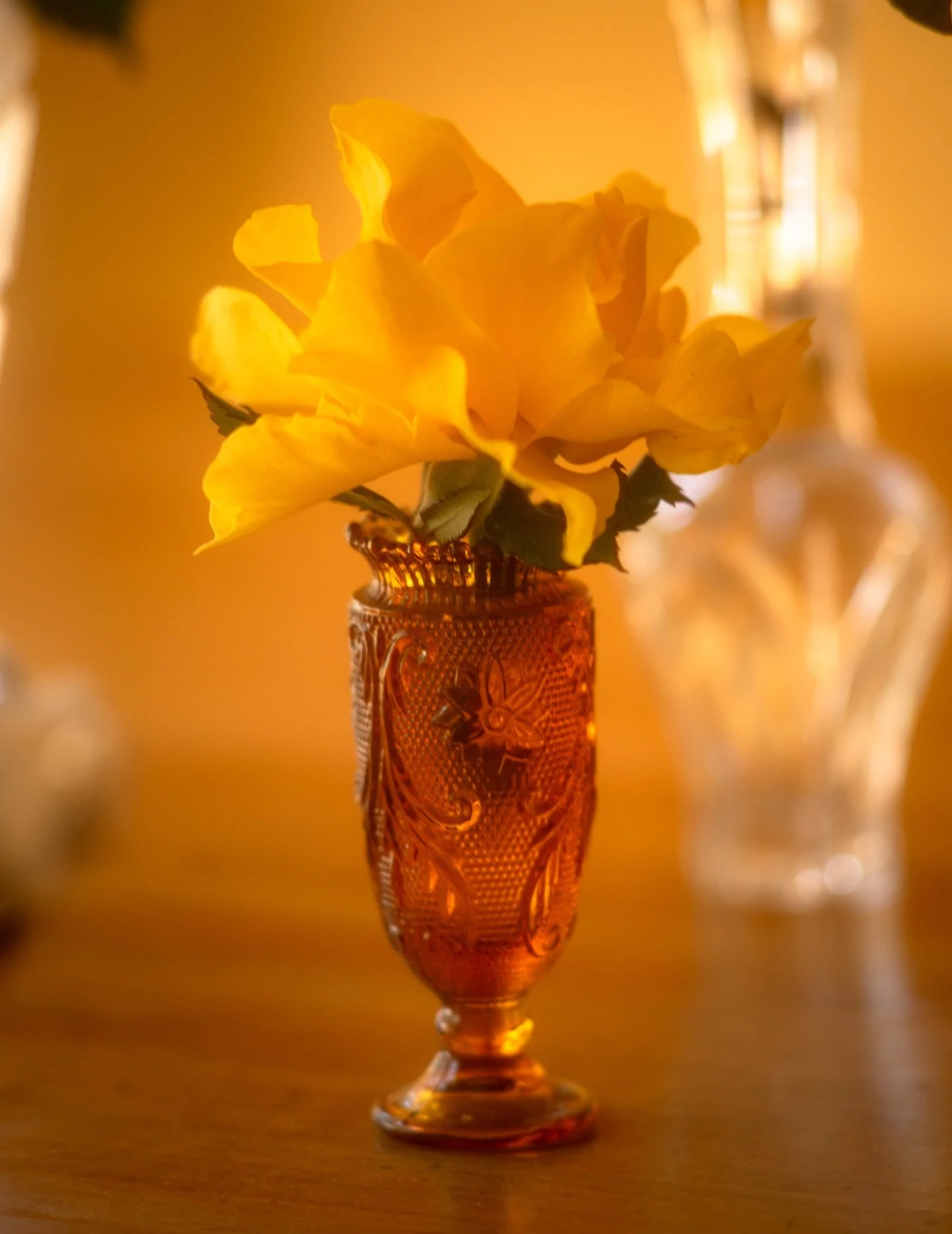 Spring indoors. 
#yellow #rose #color #photographer #vanurfalianphotographs