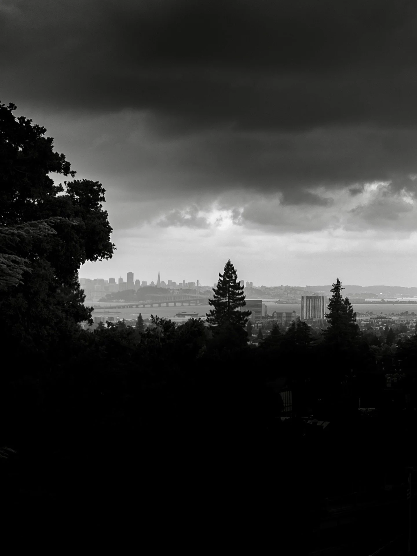 Berkeley visit 📷
#leica