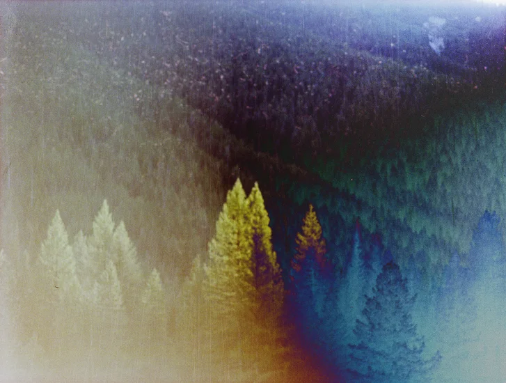 ARTIST WILDERNESS CONNECTION 2012 : SPRUCE PARK CABIN : GREAT BEAR WILDERNESS