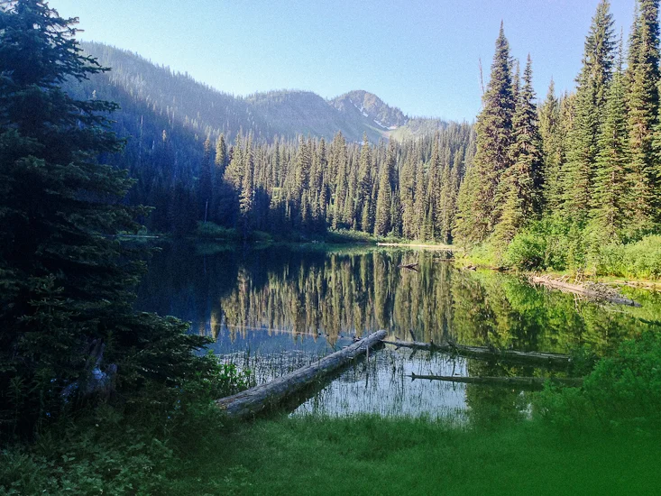 HOW TO SURVIVE A SOLO TREK THROUGH THE BOB MARSHALL WILDERNESS, MONTANA : PART 1