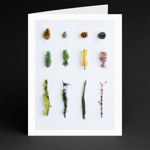 Field Guide Designs Greeting Card