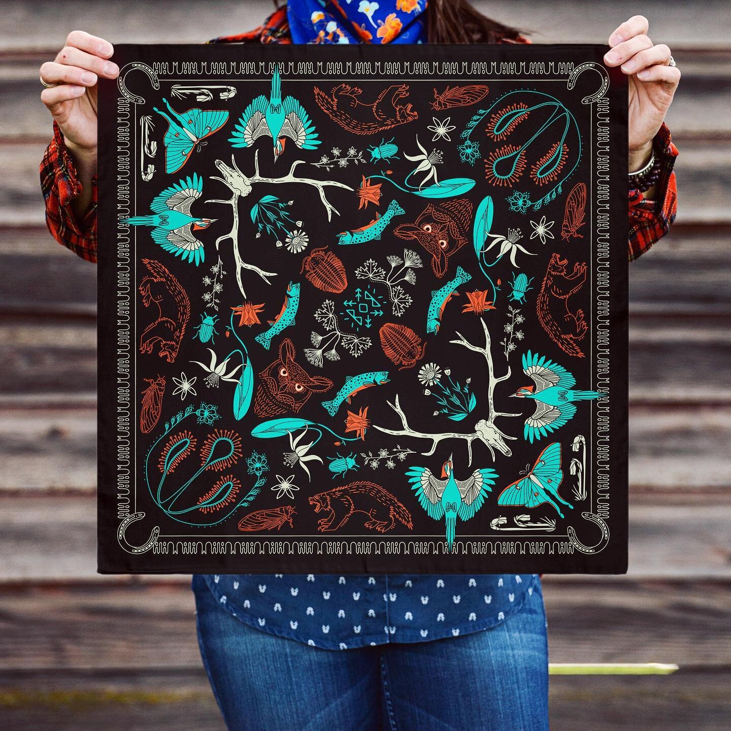 This new Bob Marshall Wilderness bandana is very special to me because eight and a half years ago, I embarked on a solo, nearly 100 mile adventure through the Bob with only my trusty steed Ben and a bun in the oven.

This beautiful black bandana feat