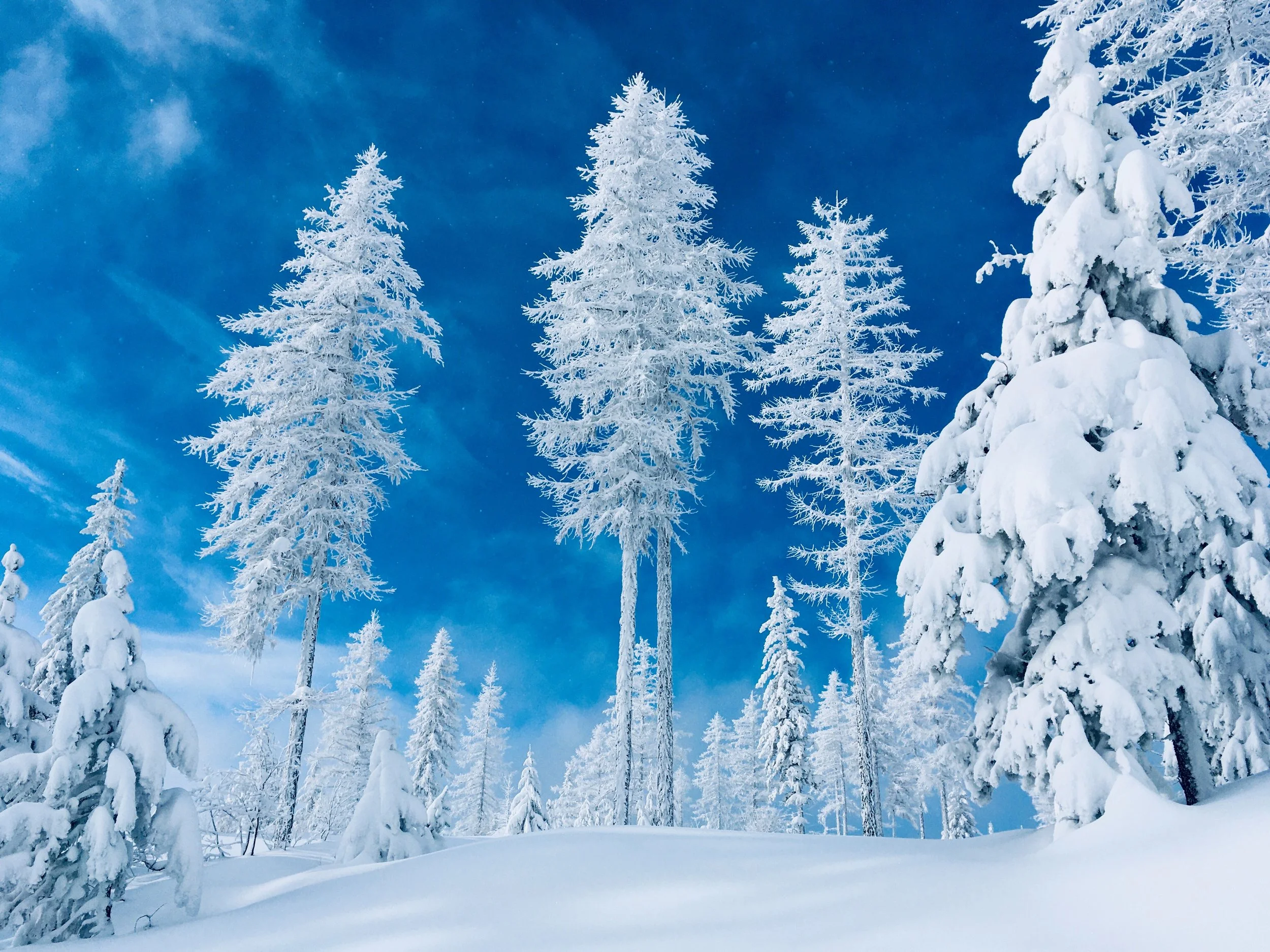 Landmark Series—Behind the Bandana: Whitefish Mountain, Flathead Valley