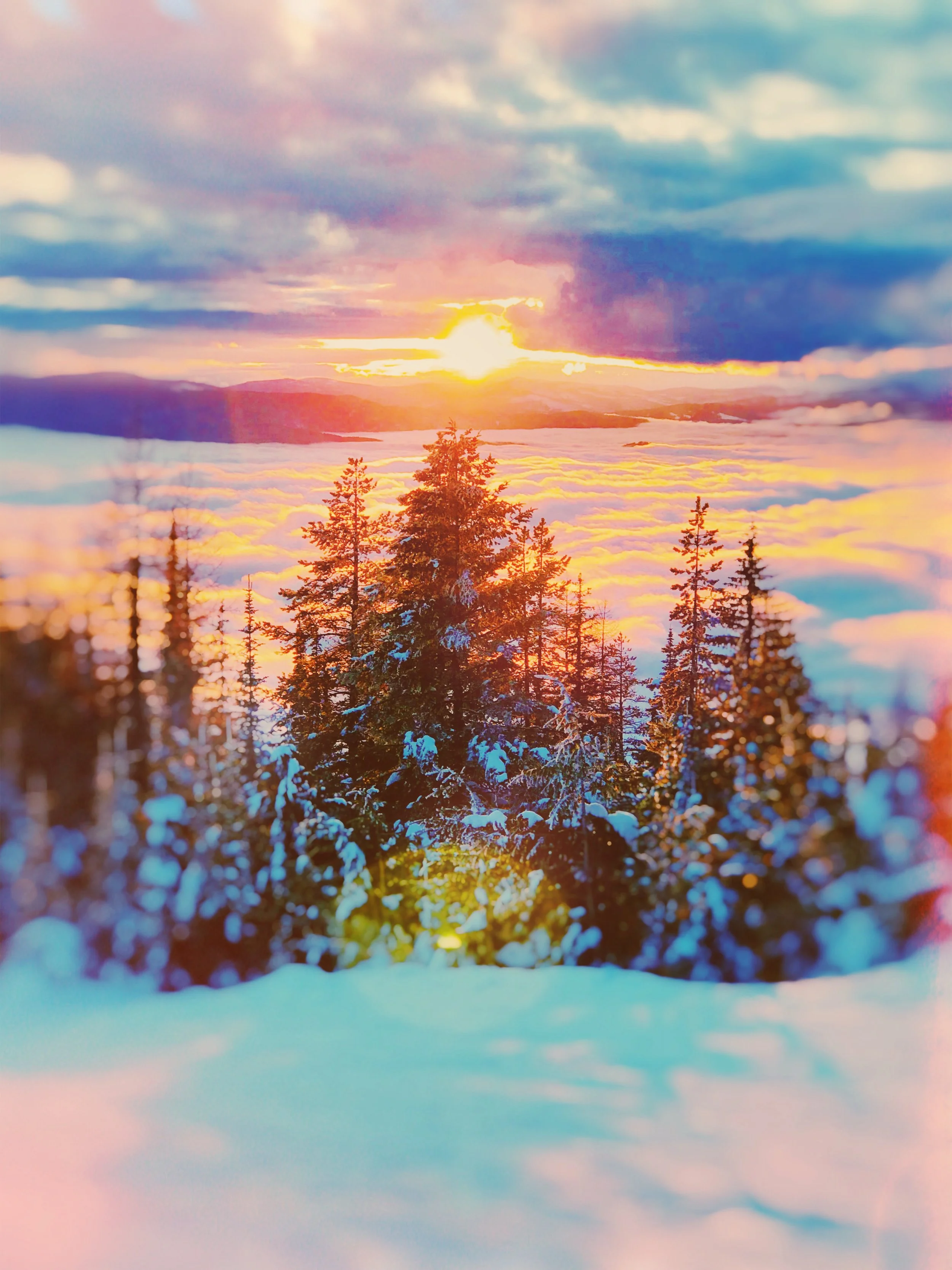 AfterlightImage 2.JPG