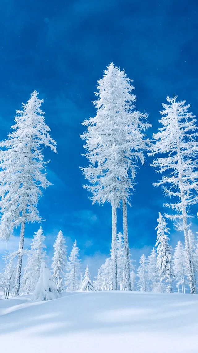 3AA8C912-7C13-447A-8F0E-63659A64A9DB 3.JPG