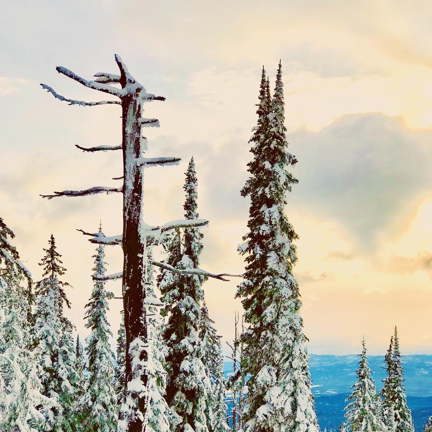 ED0E30B5-CCF6-4667-9BE9-E8CBDA32DD62 3.JPG