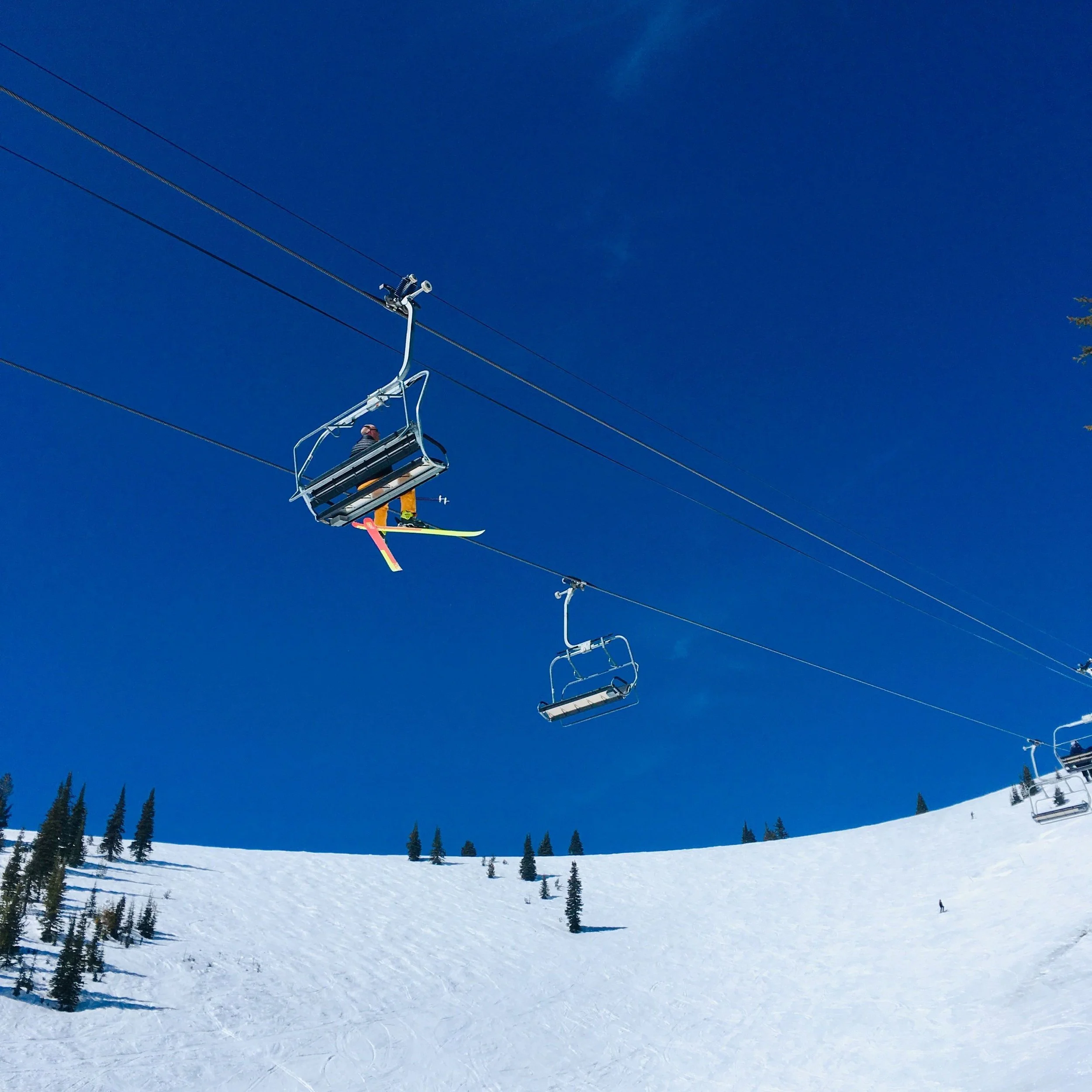 tailwind_20658348_9 3.JPG