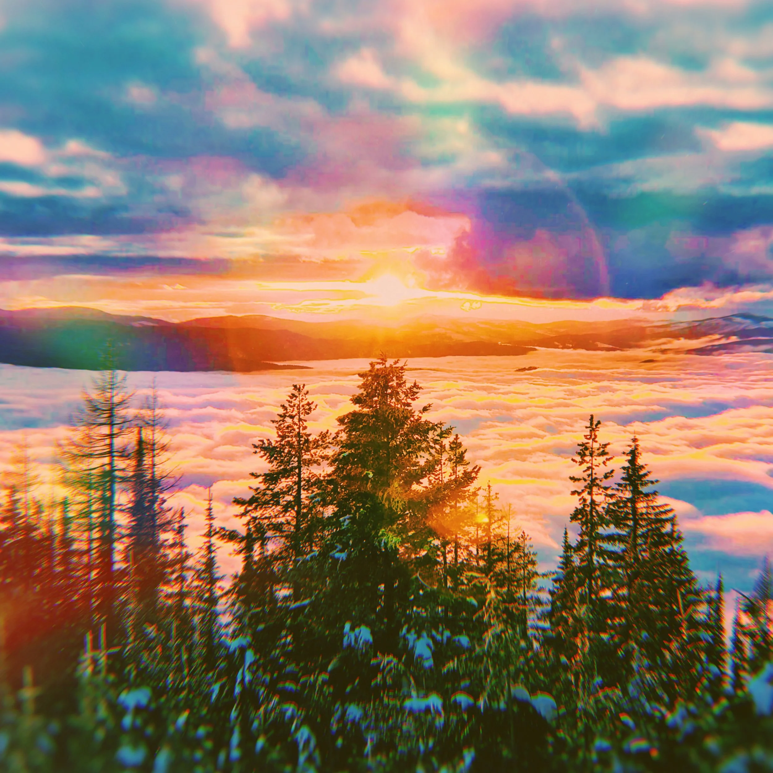 013DE0E8-382A-4D5F-8103-2B4D1524FE13 2.JPG