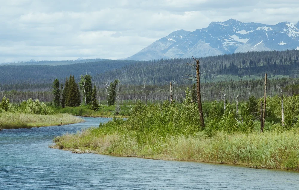 Polebridge-Mercantile-Montana_Mandy-Mohler-41.JPG