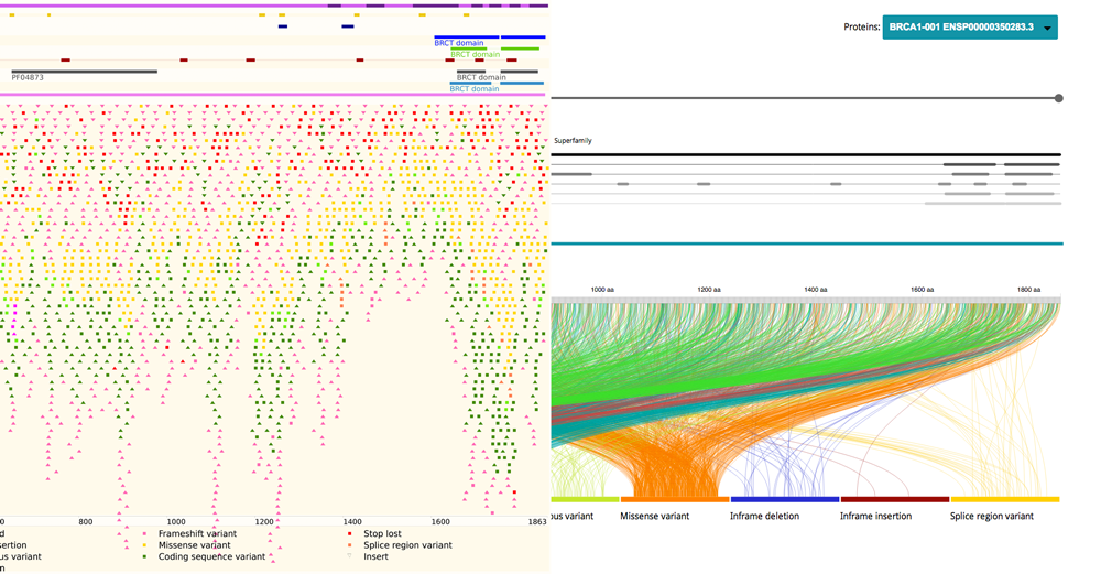 "Face to face" comparison between previous tool from Ensembl and the design proposal. Click to enlarge.