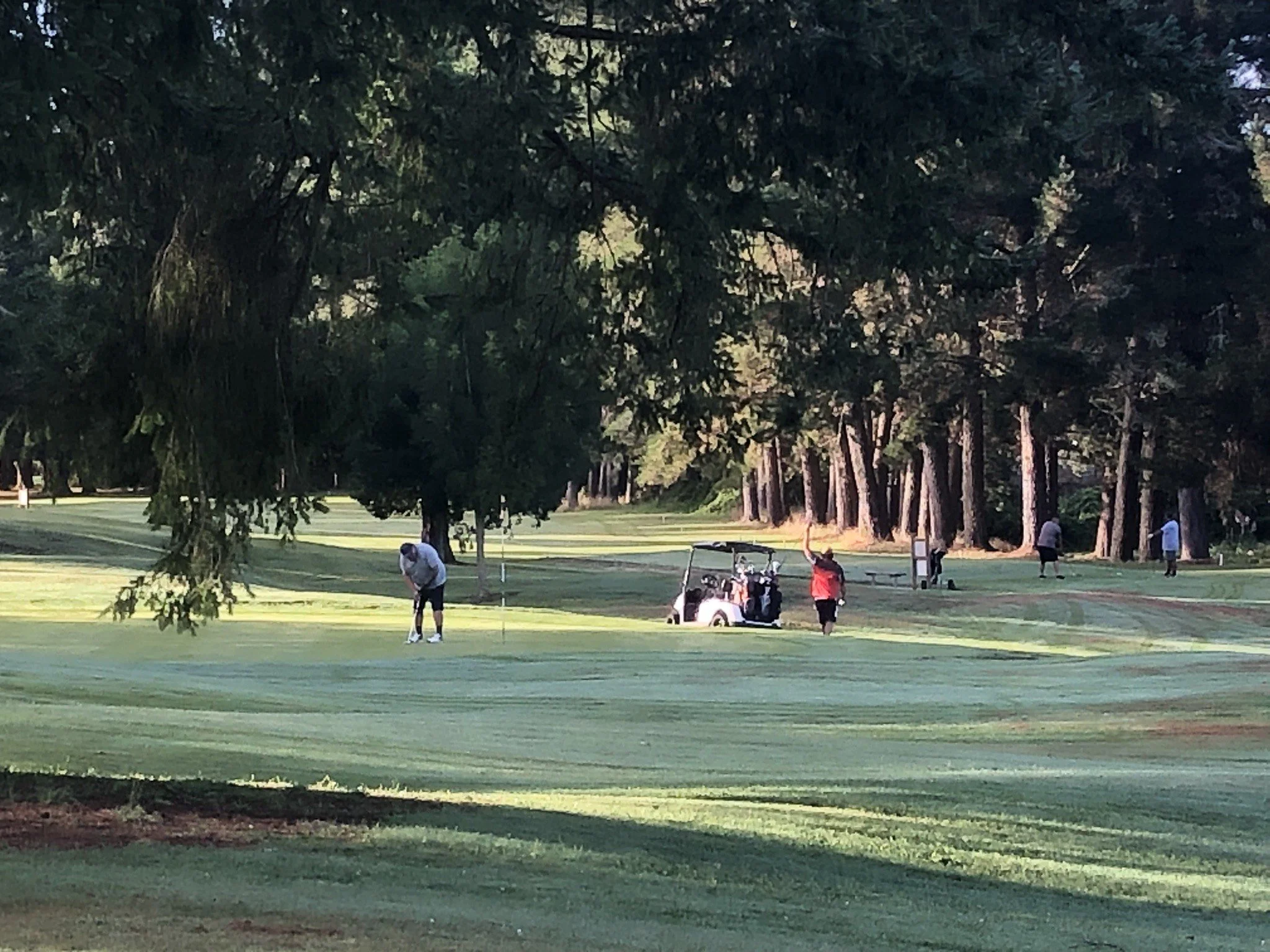 Longest Day Golf Challenge Cancer Society New Zealand — Golfer