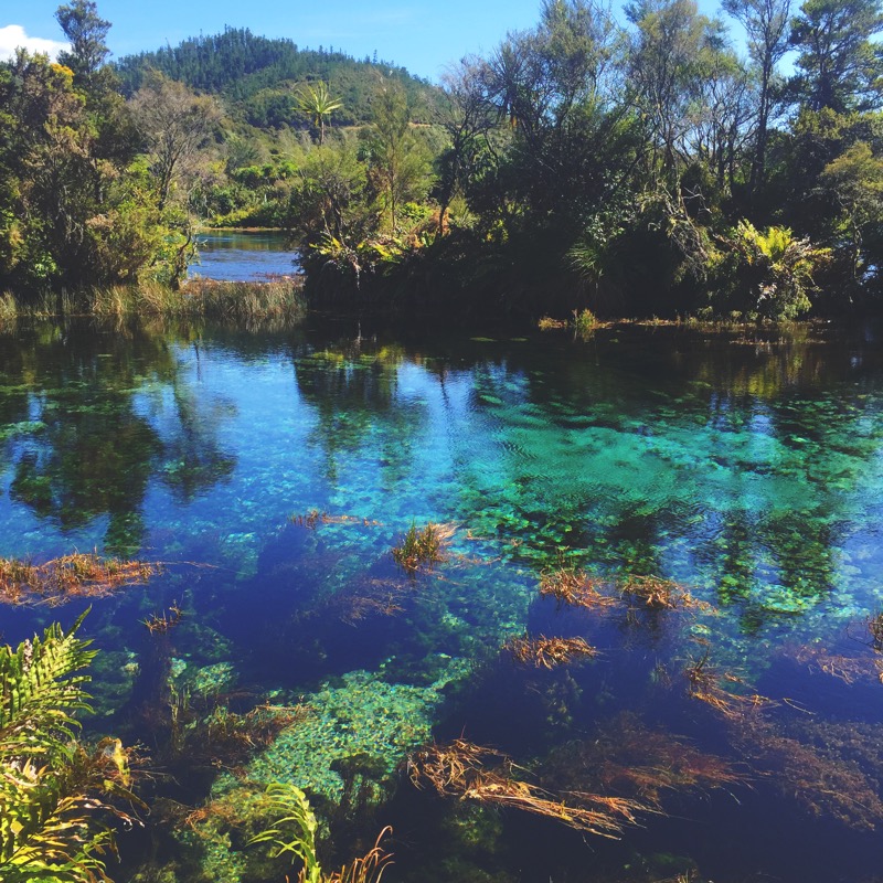 Te Waikoropupu Springs,