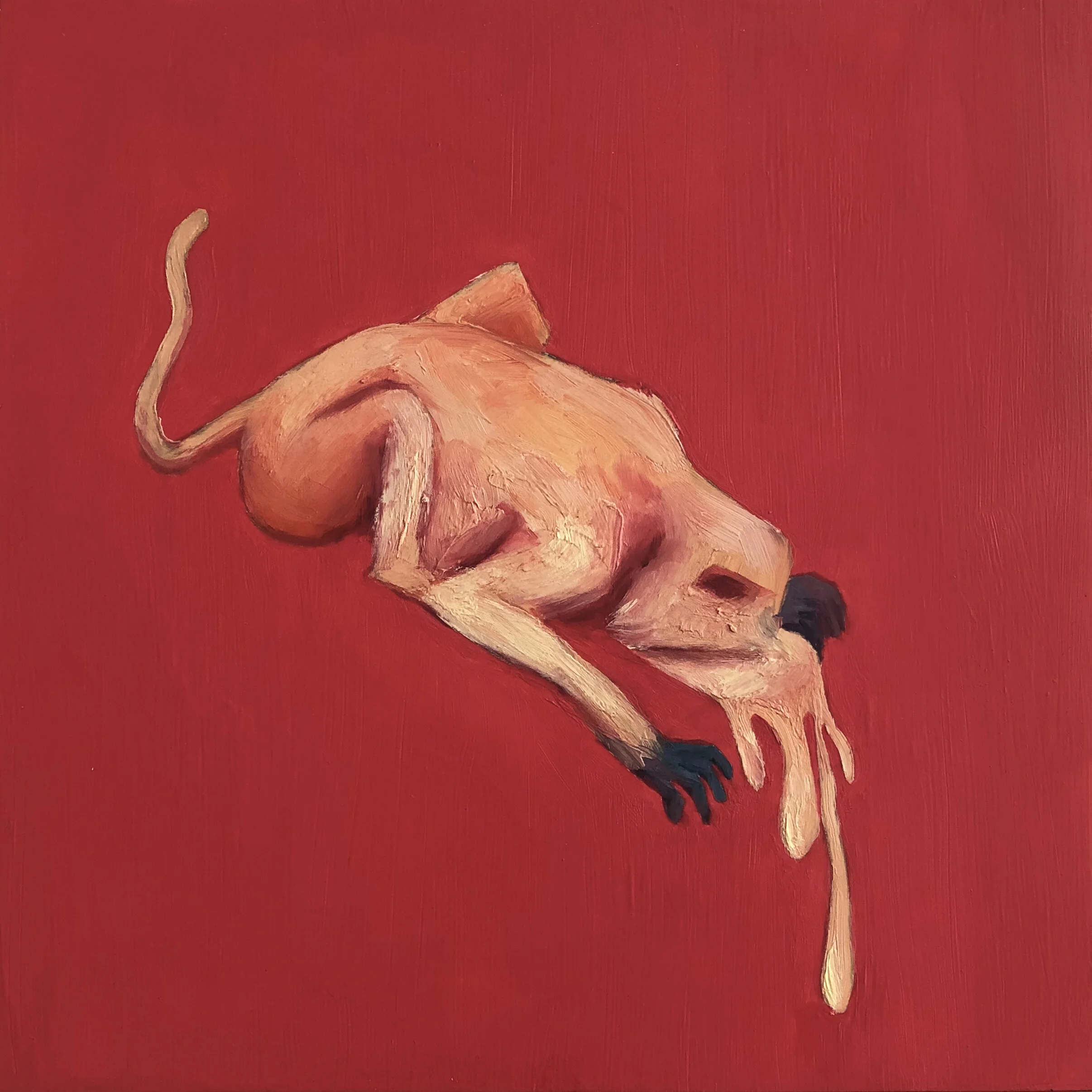 Apaipak-Jiaranai-Outsider-2018.jpg