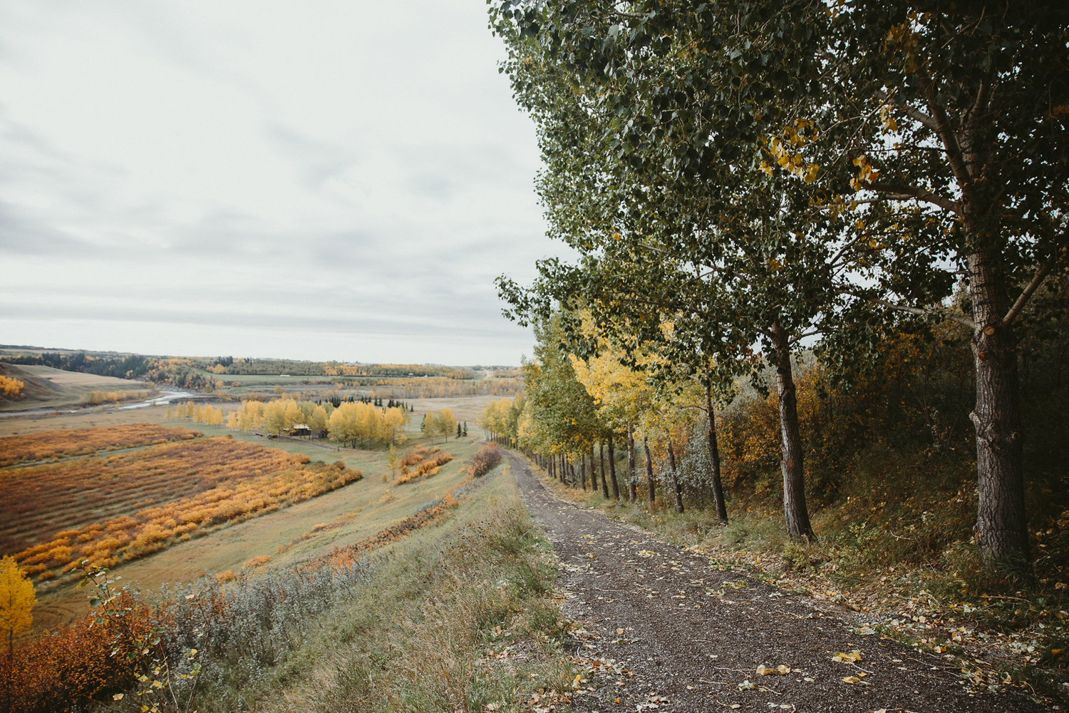 calgary-wedding-photographer010.jpg