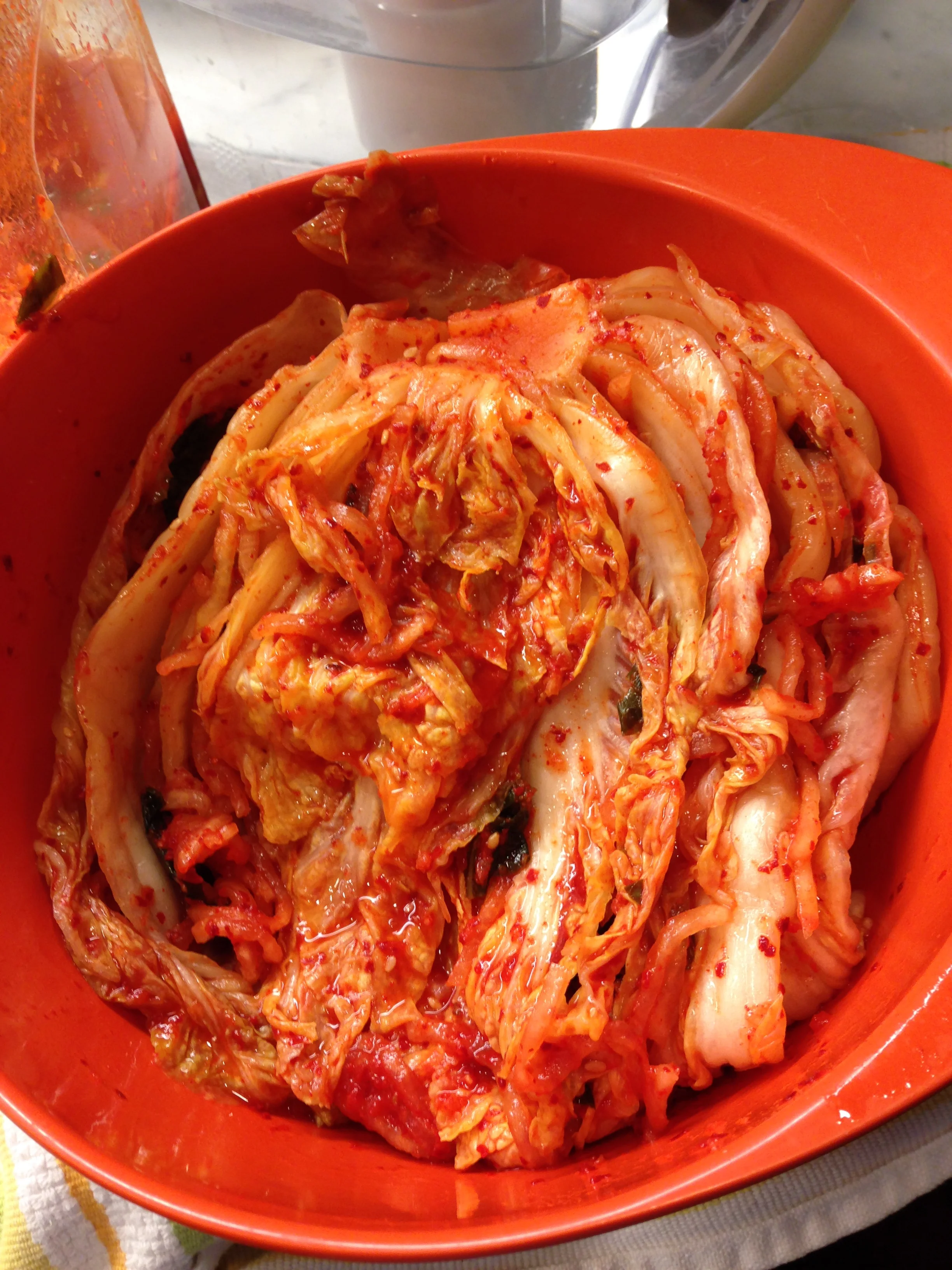 DIY Pokee Kimchi & Black Fernbrakes (banchan)