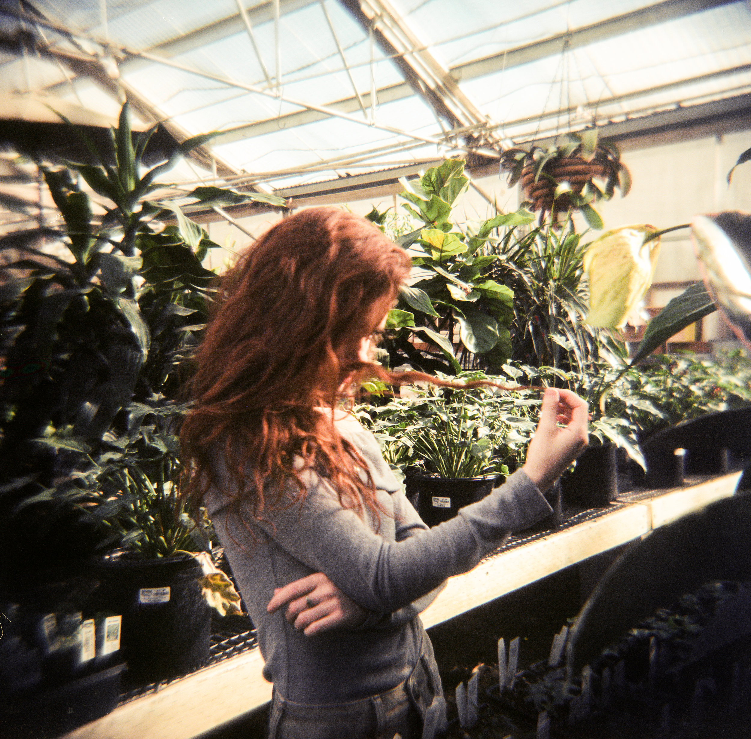 EllenGreenHouse_Holga-4.JPG