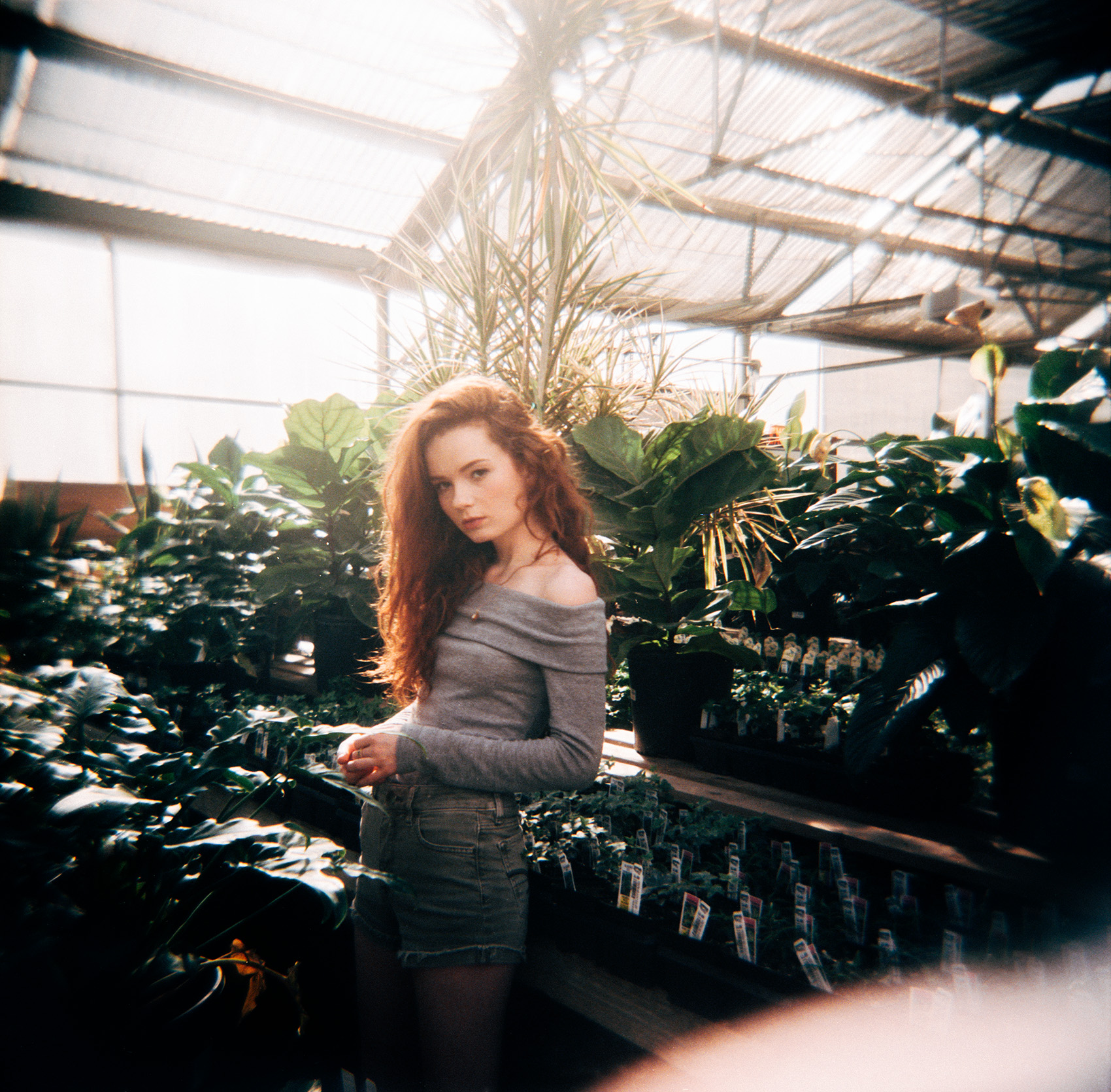 EllenGreenHouse_Holga.jpg