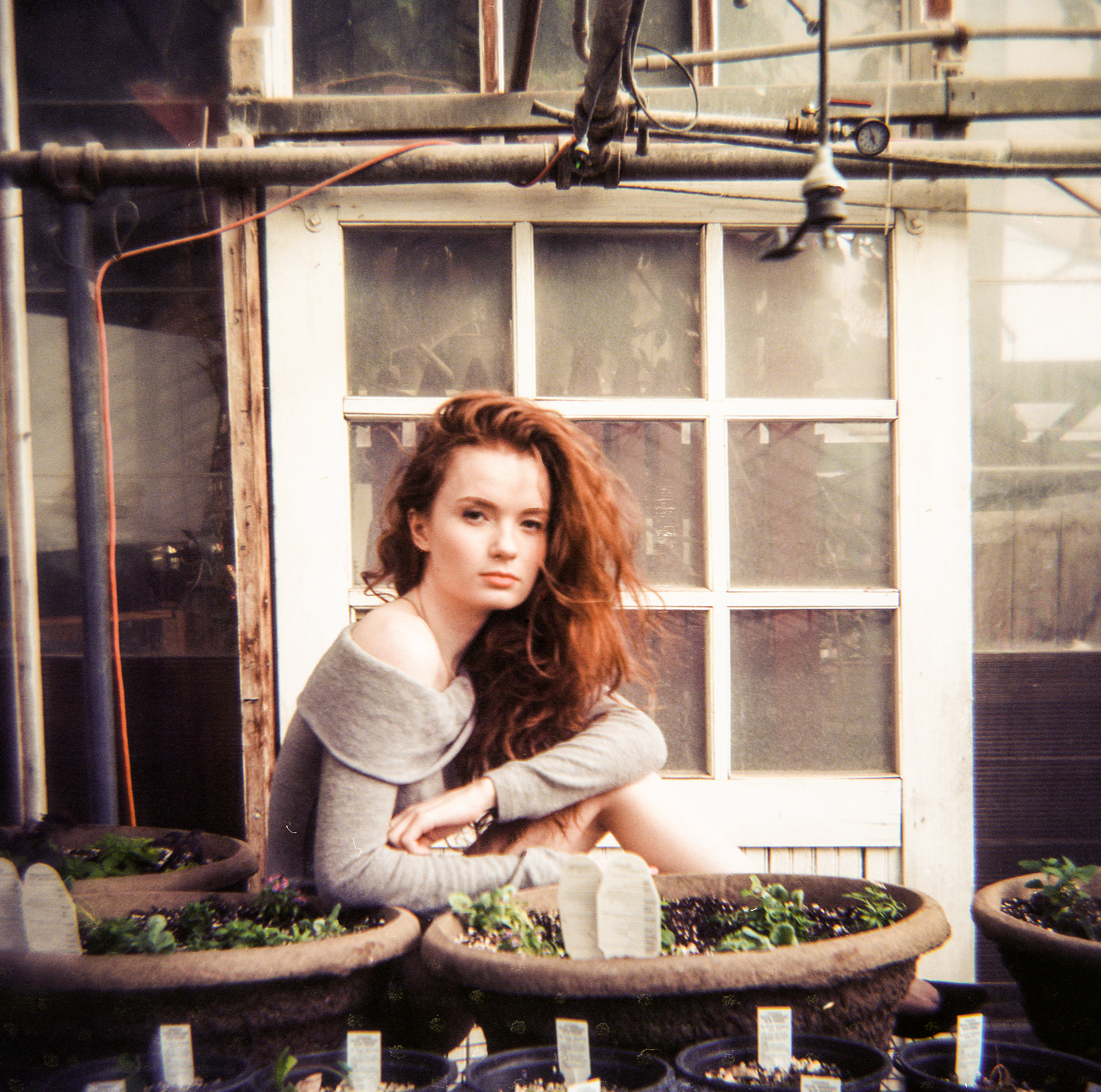 EllenGreenHouse_Holga-8.JPG