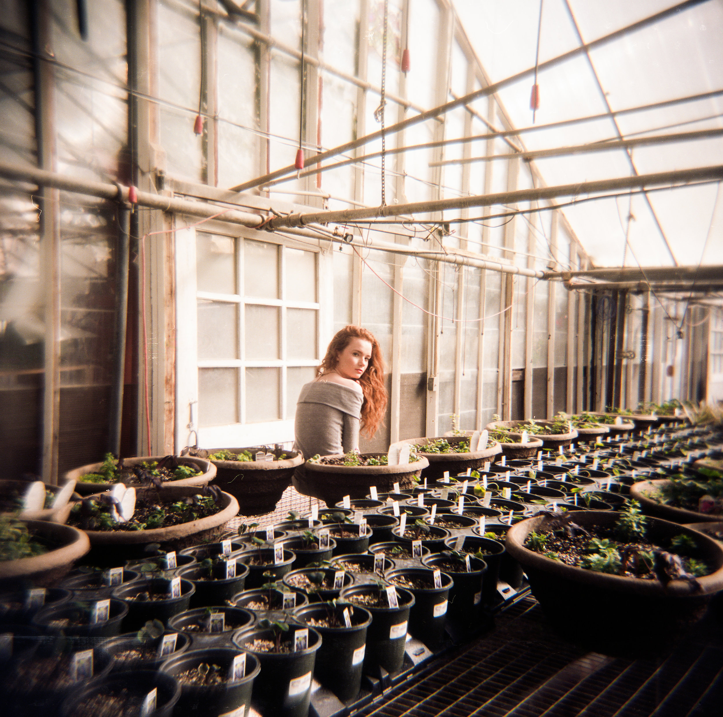 EllenGreenHouse_Holga-10.JPG