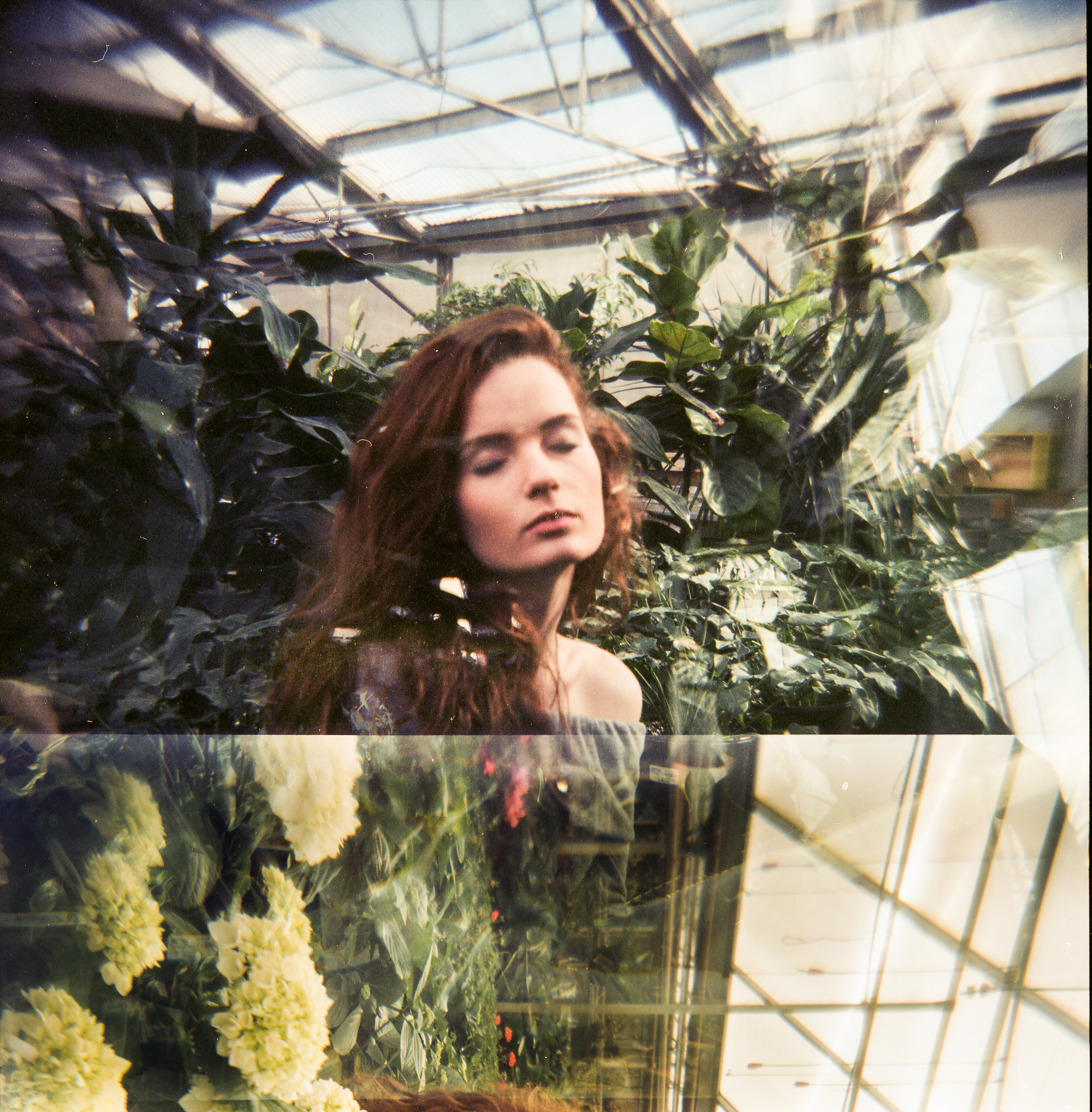 EllenGreenHouse_Holga-5.JPG