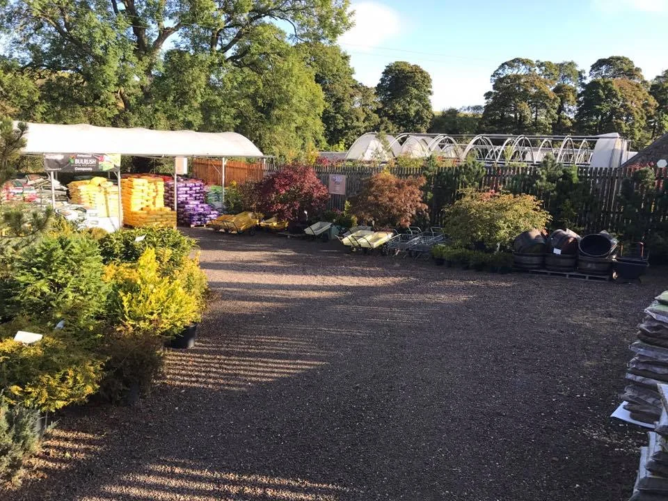 car park.jpg