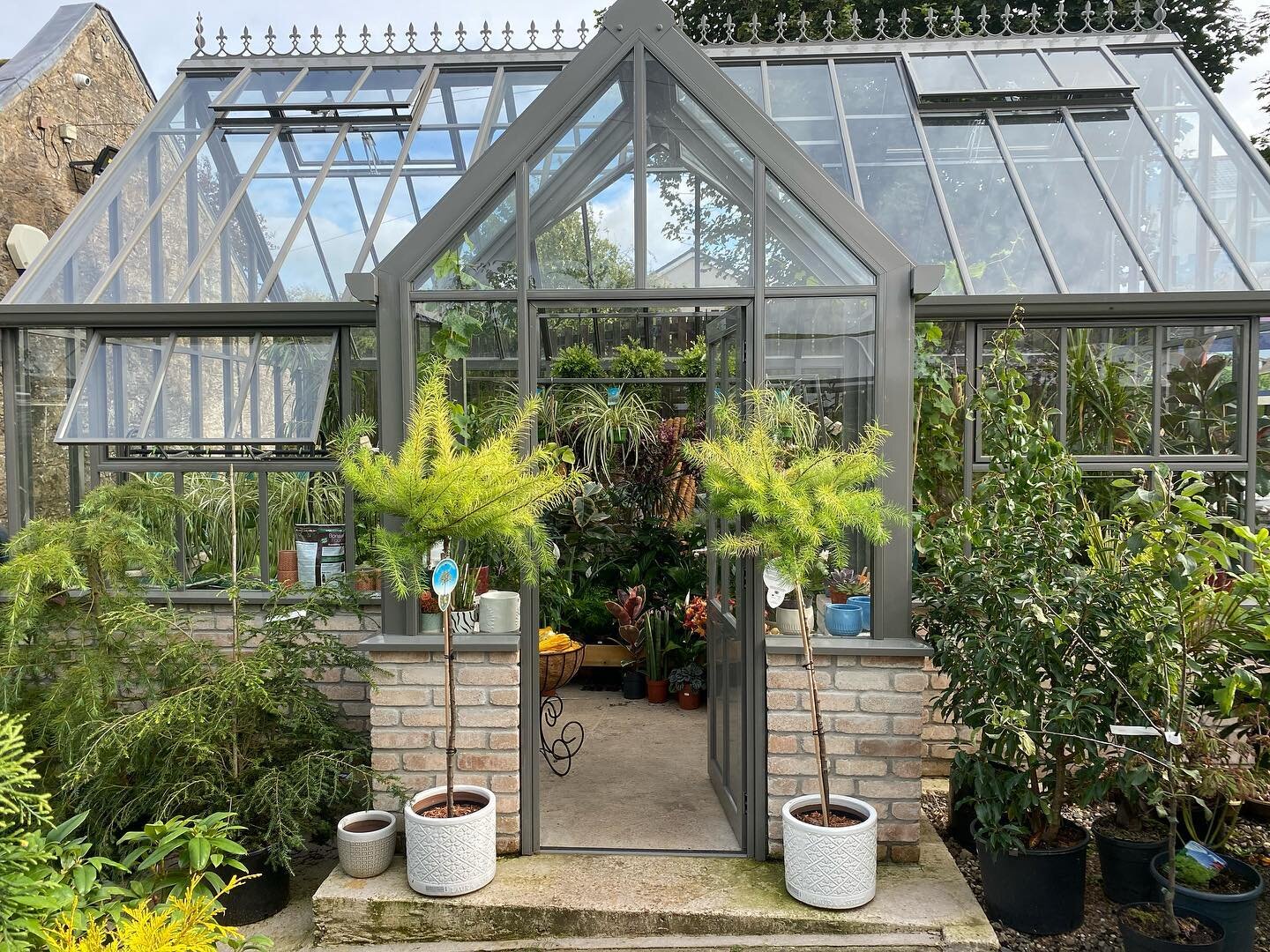 Our greenhouse is absolutely overflowing with houseplants at the moment 😍😍😍
When you visit you can find Cacti, succulents, foliage plants, ferns, trailing plants, climbing plants and more! 
Open 7 days
Monday - Saturday 9-5
Sunday 10-5
🌿🌿🌿🌺🌺?