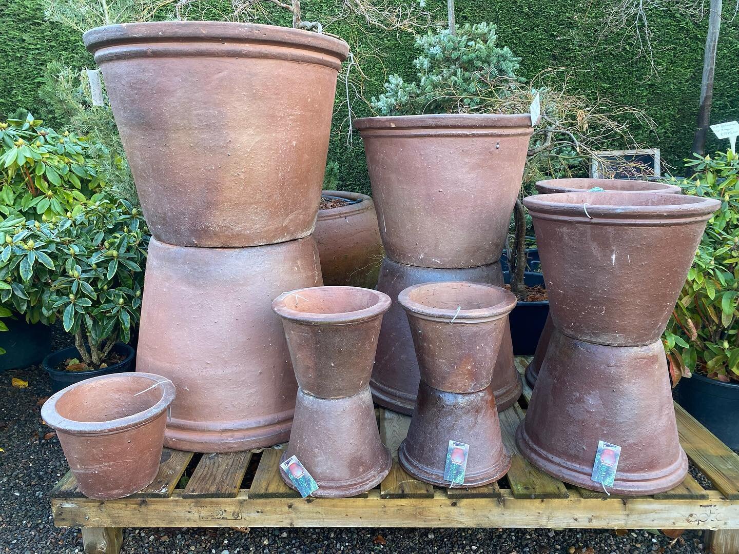 Fantastic new range of elegant rustic pots now available!
Perfect for large specimens, Japanese maples, trees and shrubs, alternatively these can be planted with summer bedding, or winter pansies, and why not undersow with autumn and spring bulbs to 