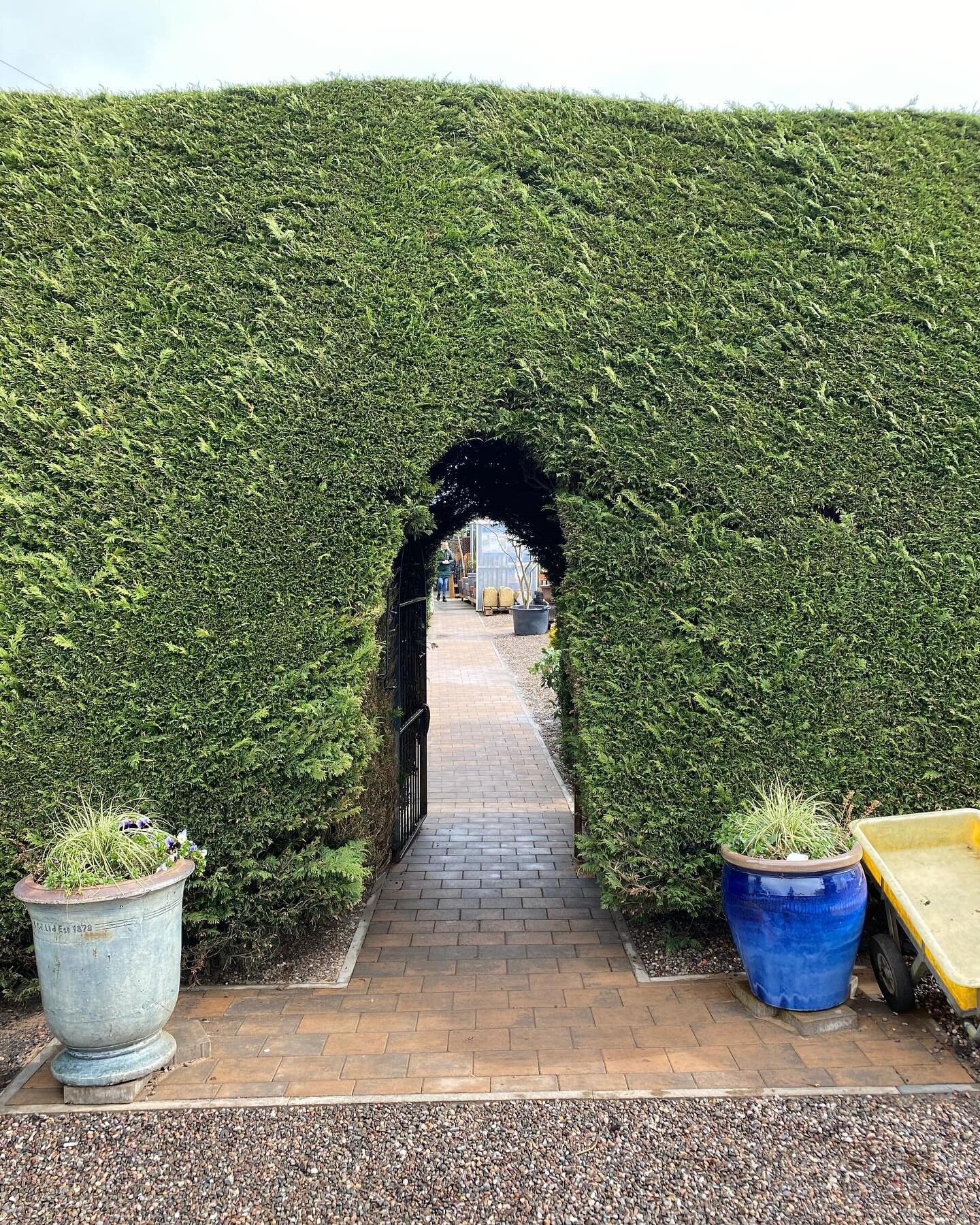 Packed with plants and much much more! 
We are open all Easter weekend, 9-5 every day, Sundays 10-5. 
🌼🌸🌺🪻🥀🌱🪴🌿🍁
#millgardencentre #garden #easter #plantsmakepeoplehappy #gardeninspiration #flowers #landscaping