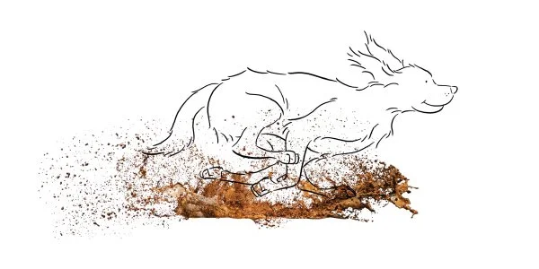 Dog_illustrations_STUDIO_ALSJEBLIEFT_Nienke