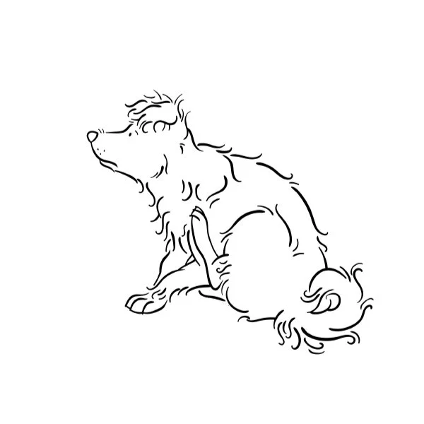 Dog_behavior_Illustrations_STUDIO_ALSJEBLIEFT_Nienke