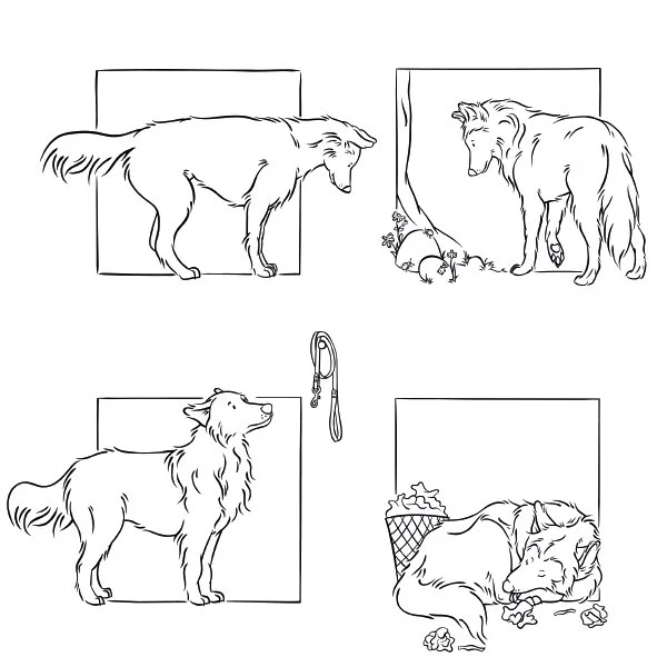 Illustrations_Denise_Fenzi_Raika_STUDIO_ALSJEBLIEFT_Nienke