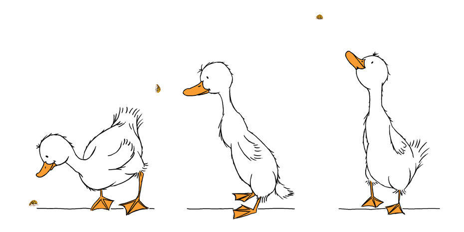 Curious_Ducks_Illustration_STUDIOALSJEBLIEFT