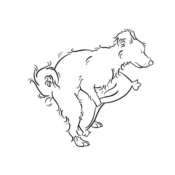 Dog_behavior_Illustrations_STUDIO_ALSJEBLIEFT_Nienke