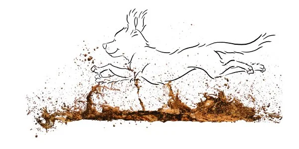 Dog_illustrations_STUDIO_ALSJEBLIEFT_Nienke