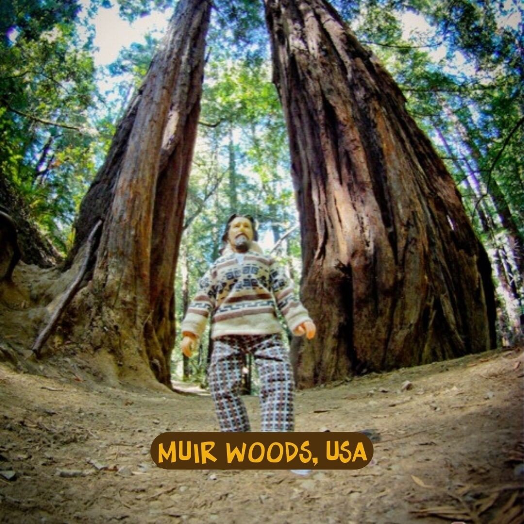 Does the Pope shit in the woods? 🤔
Go Outside, and check how Nature Abides...
#littlelebowski visits #muirwoods in #california  #thebiglebowski 
👉 littlelebowski.org