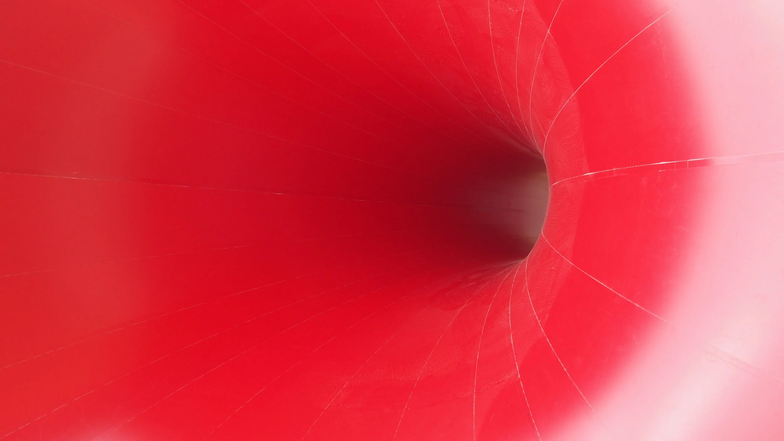 Anish Kapoor, Versailles, 2015.