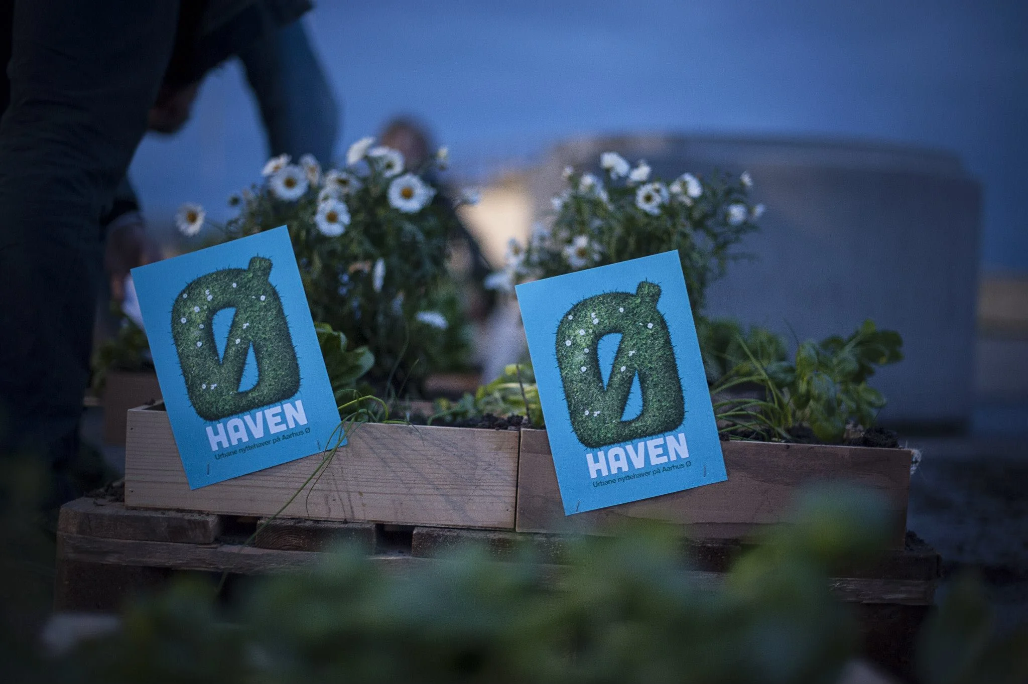 Photo by to Ø-haven