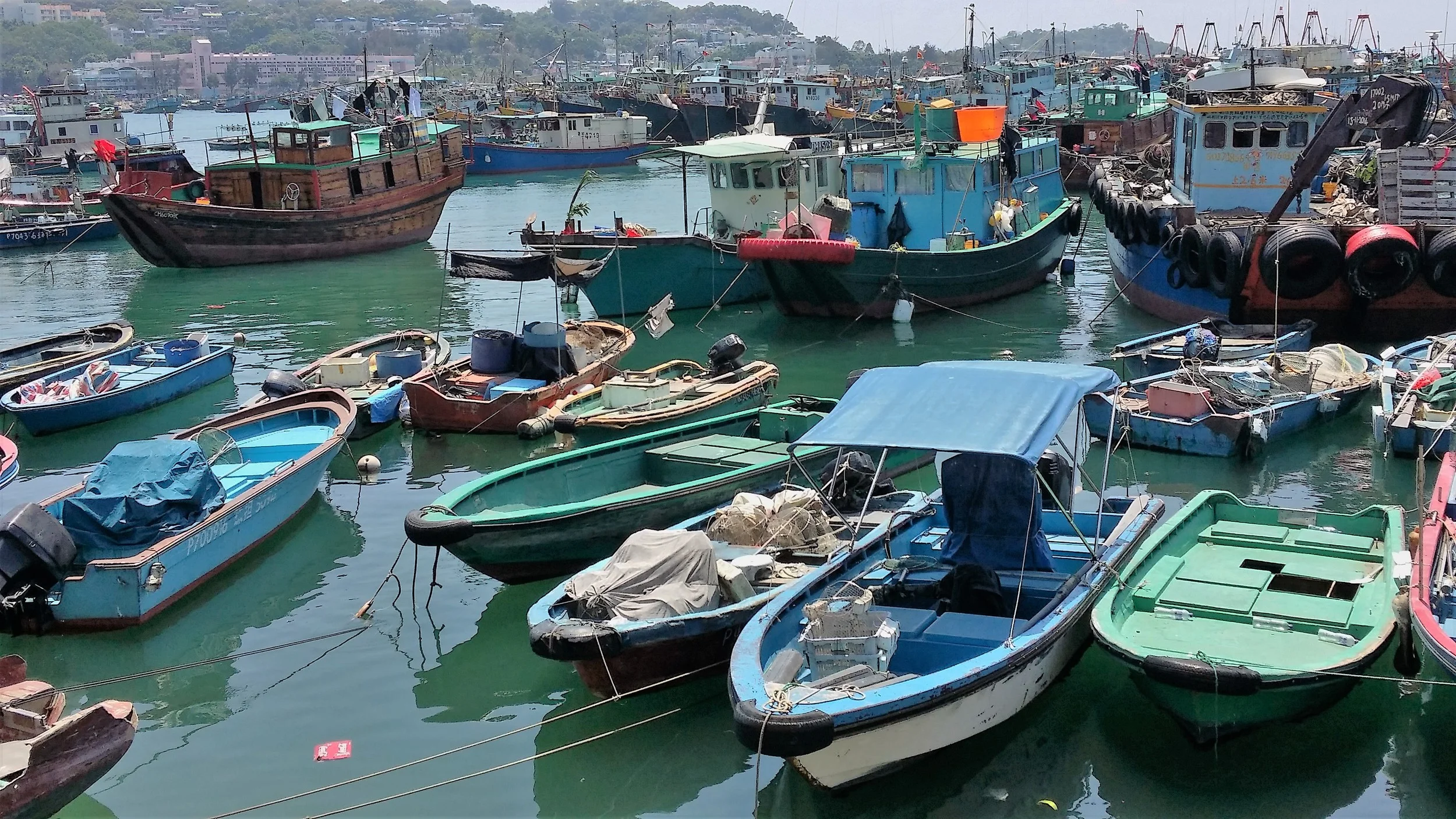 Not what you would expect to find in Hong Kong
