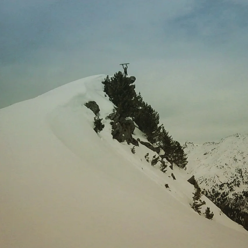 Snowboarding trip to the Alps!