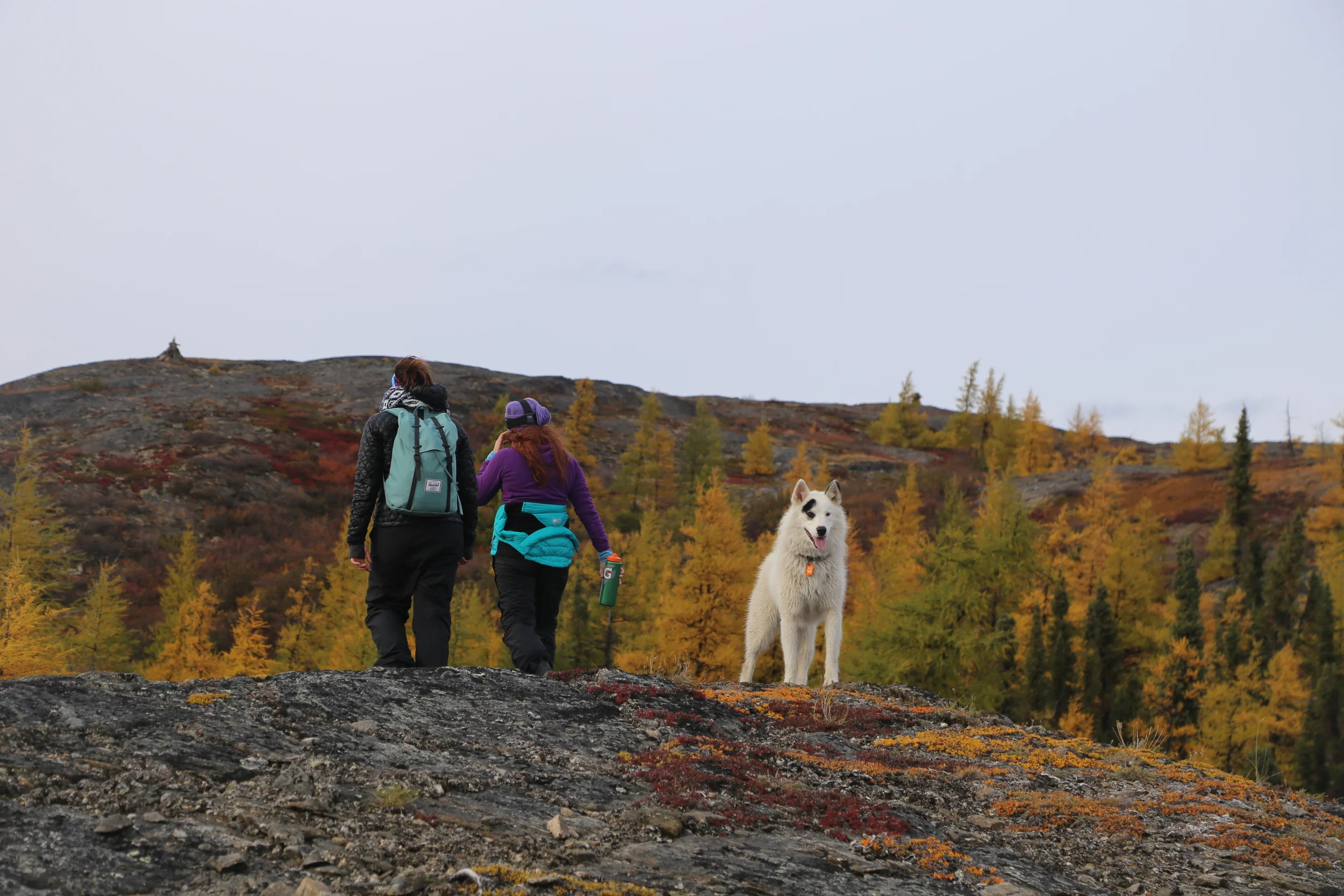 Apprendre à vivre à la demi-heure