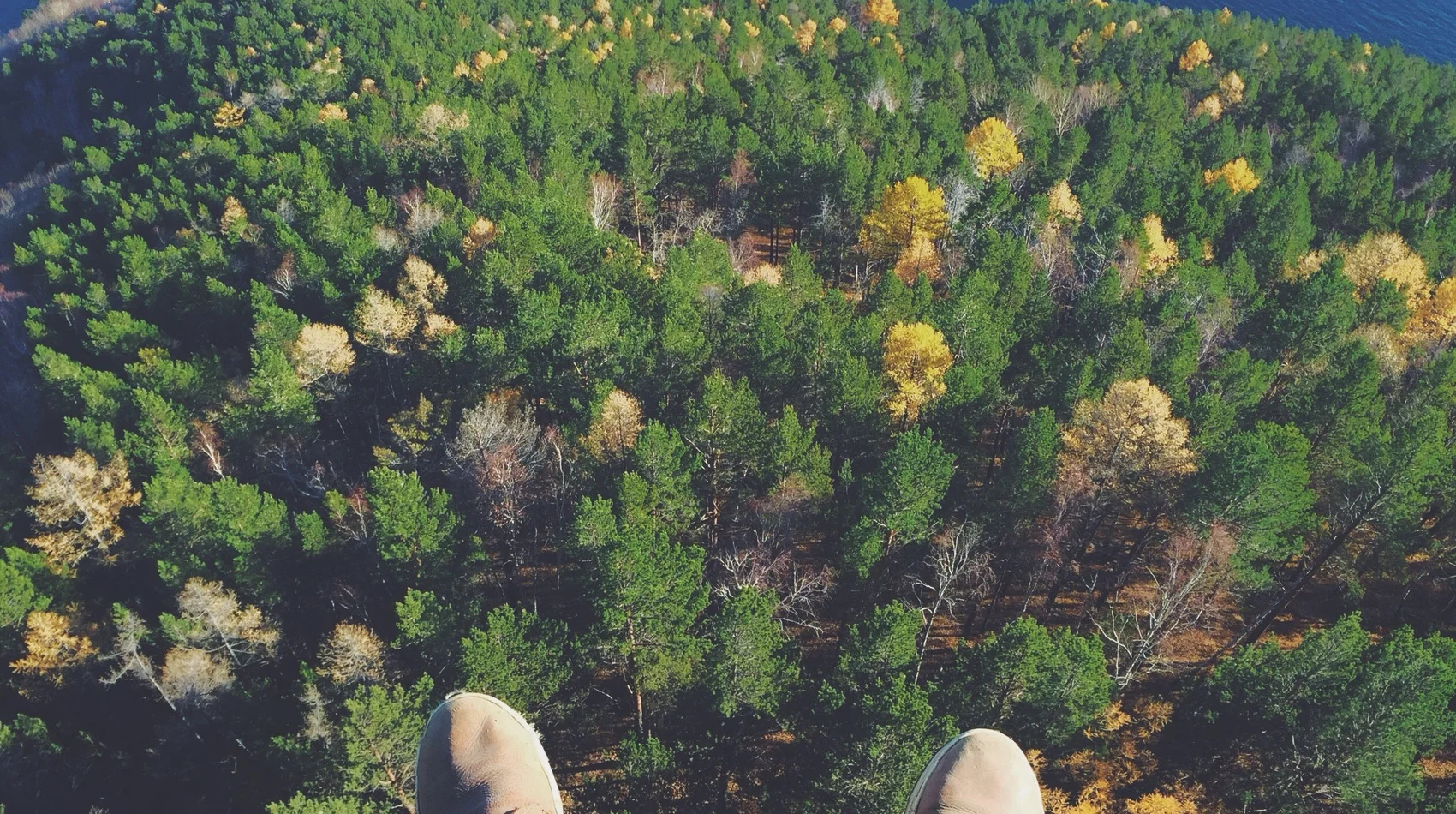 LE PIED SUR LE FREIN