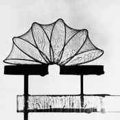 Frei Otto