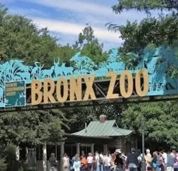 Sukkah Party @ Bronx Zoo