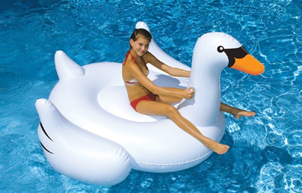 International Leisure Giant Swan