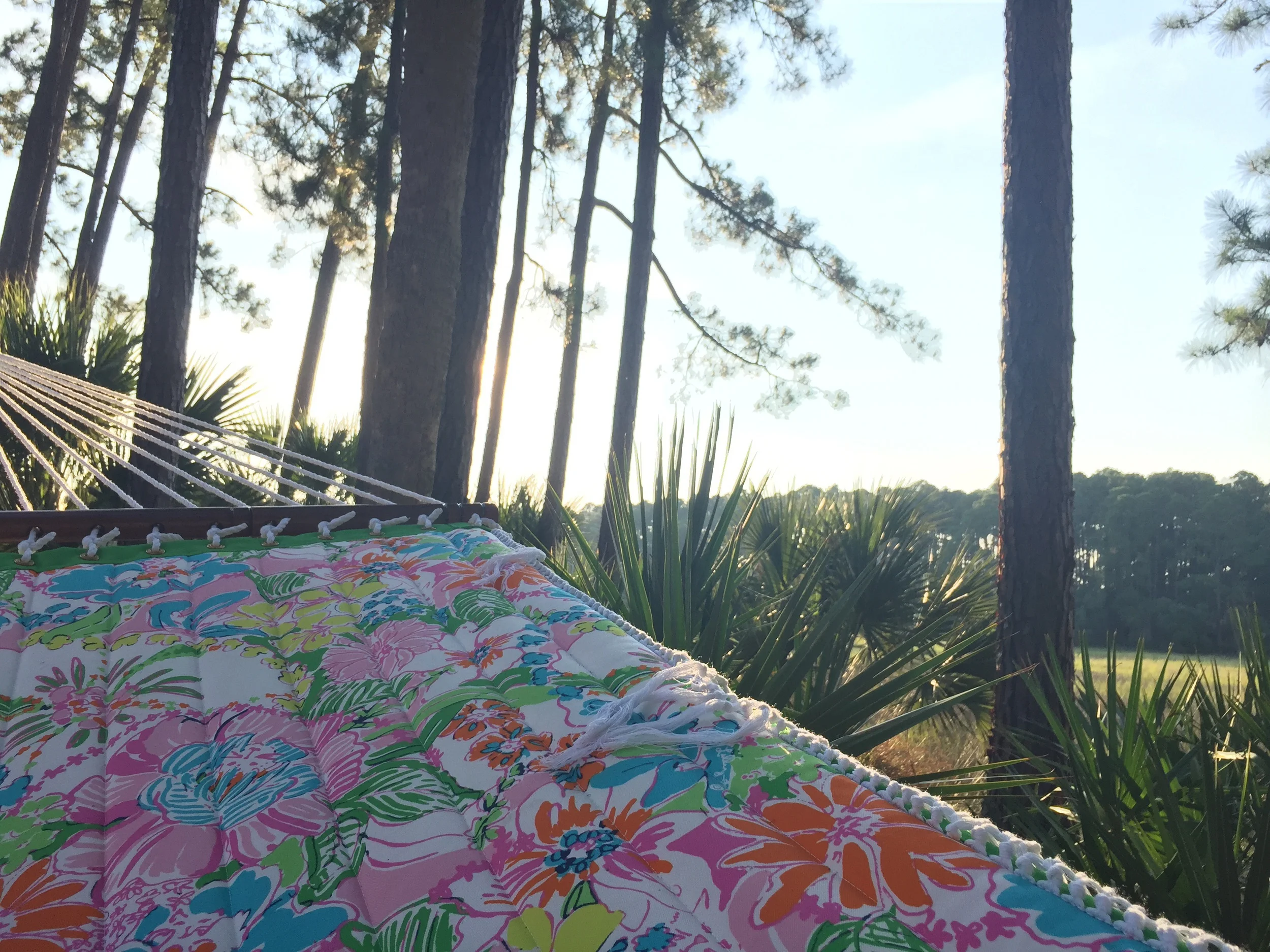 Lilly x Target Hammock