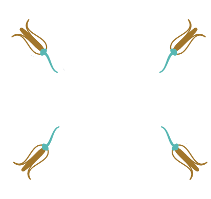 True Horizon Travel