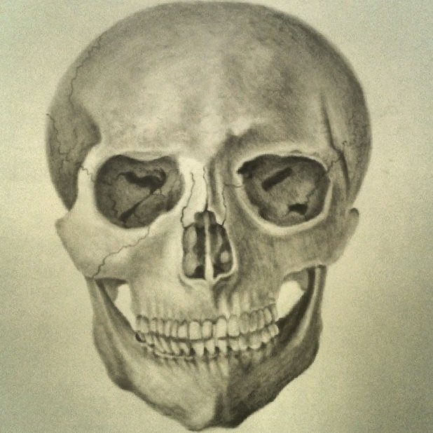 skullfiguredrawing-vz.jpg