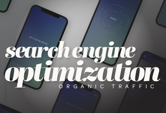 vzade 2023 - search engine optimization seo organic traffic.png