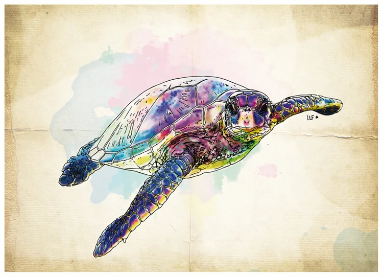 lilylafronde-carte-postale-tortue.jpg