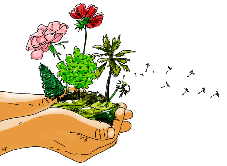 visu-ecologie1-lilylafronde.png